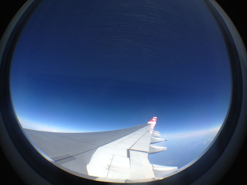 Flying home