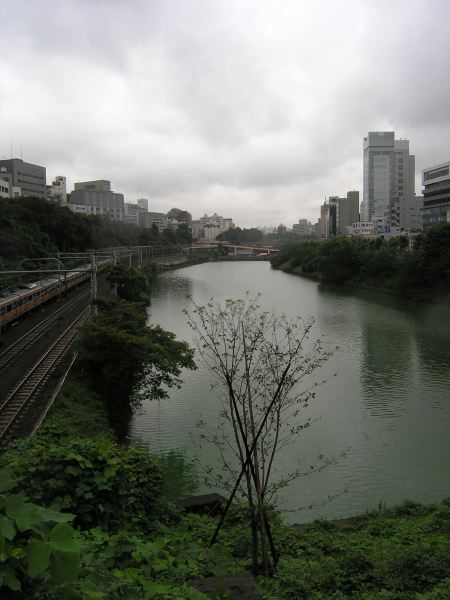 2009-07-06_06-48-54_p7061459.jpg