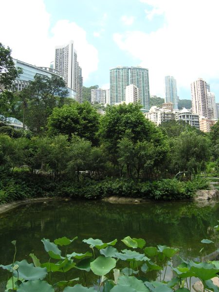 2009-07-13_05-36-00_p7132285.jpg