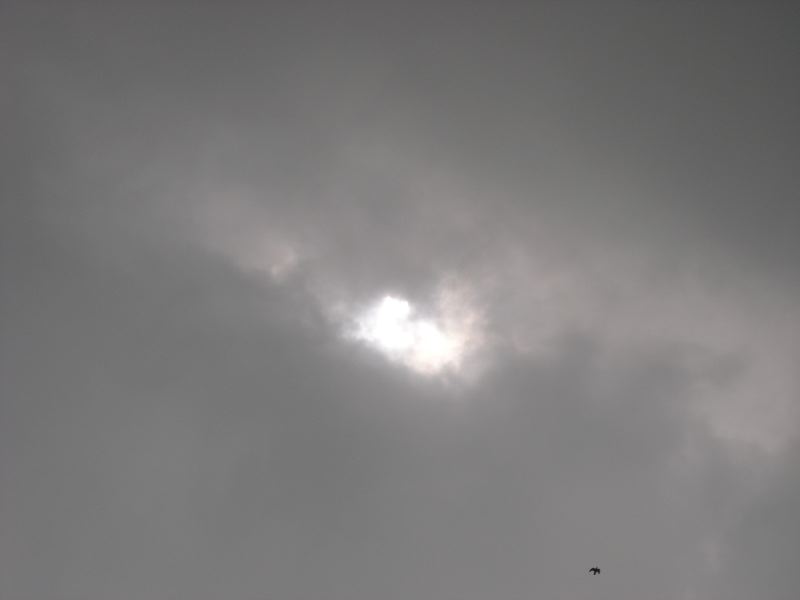 2009-07-22_02-52-50_p7222655.jpg