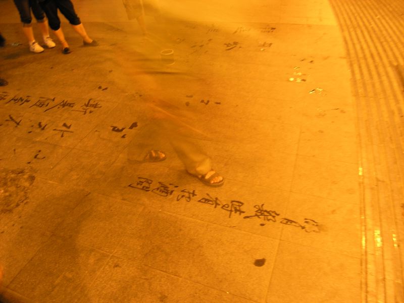 2009-08-04_15-04-56_p8043546.jpg