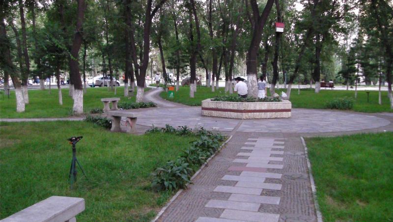 2009-08-05_12-43-00_sany0029.jpg