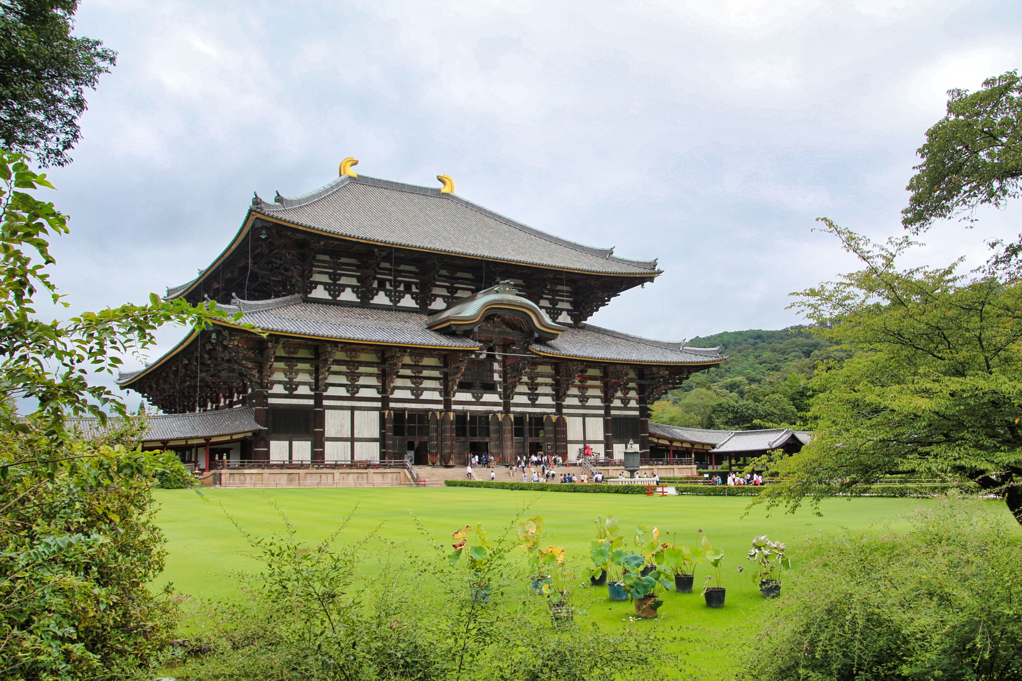 2015-09-07_nara_todaiji_1.jpeg