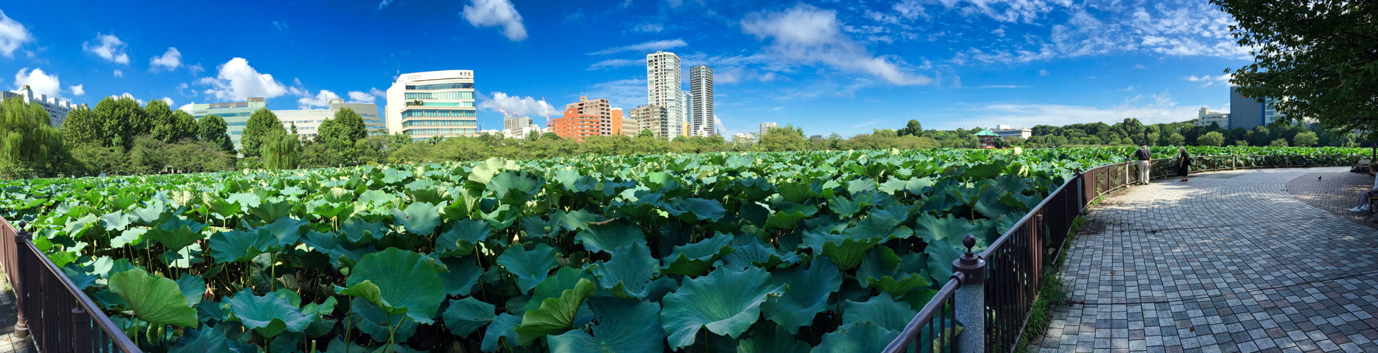 2015-09-11_tokyo_ueno_2.jpeg