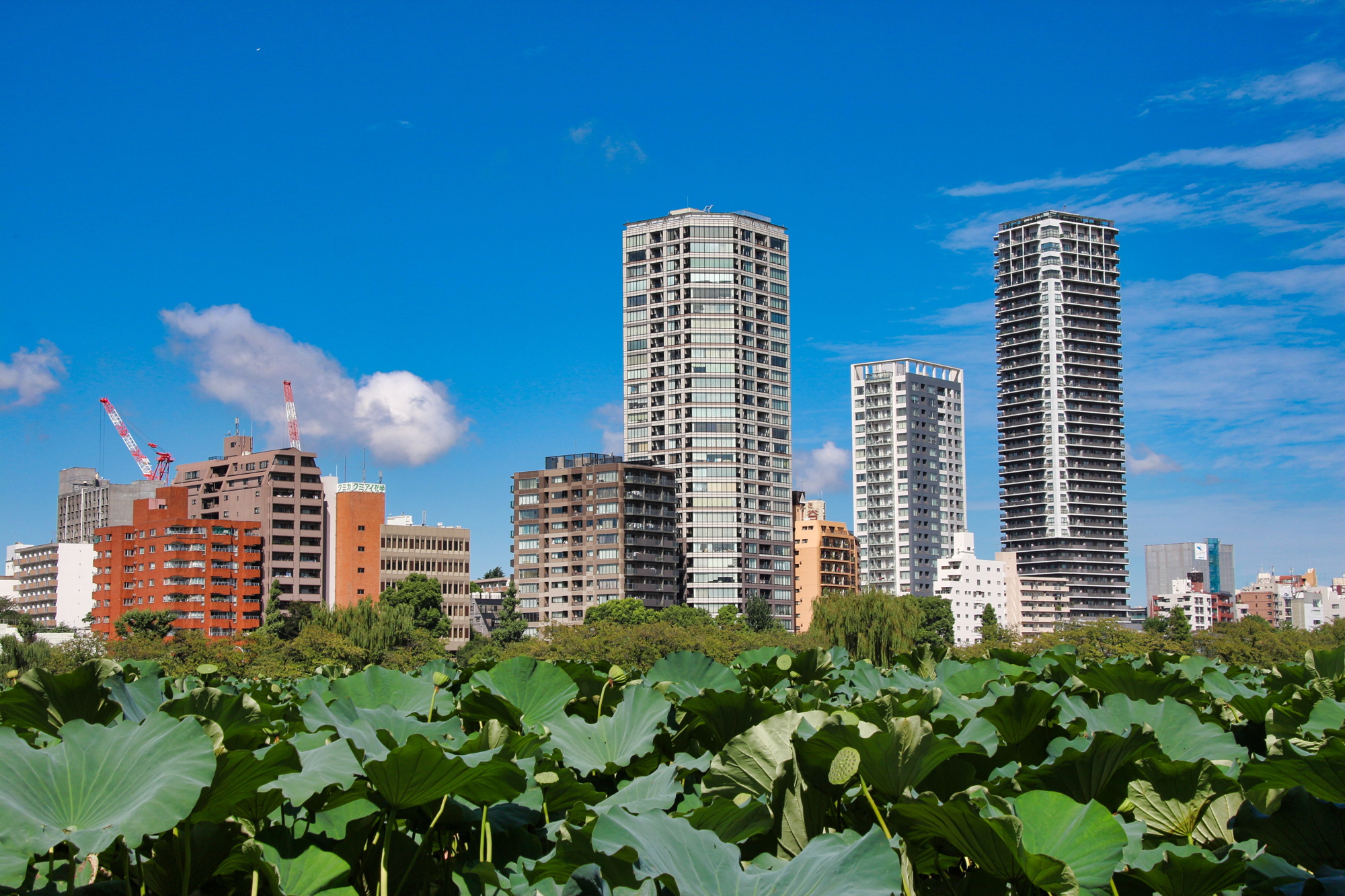 2015-09-11_tokyo_ueno_3.jpeg