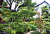 2015-09-09_tokyo.jpeg