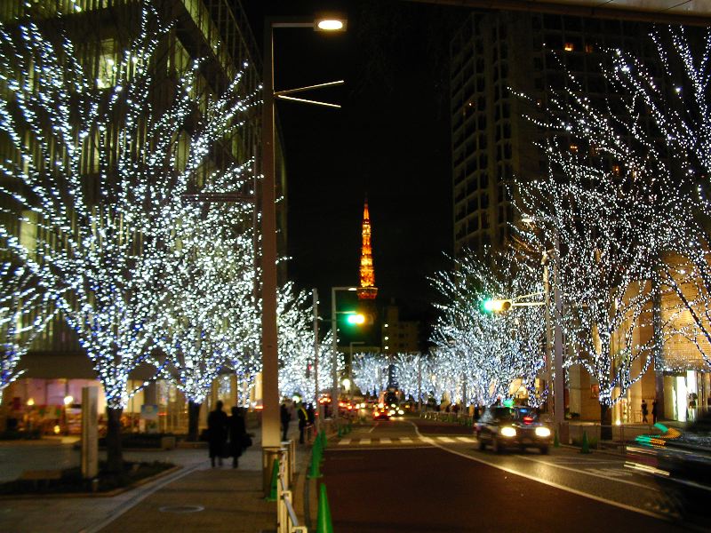 23_roppongi_hills__tokyo_tower.jpg